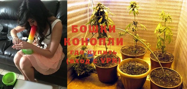 стаф Майский