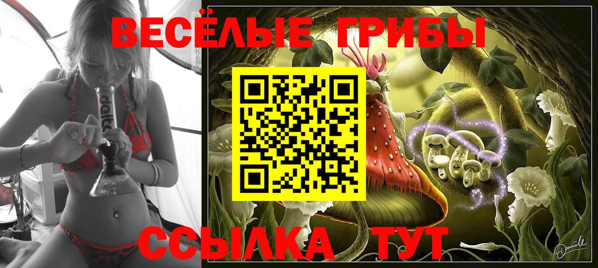Галлюциногенные грибы Psilocybine cubensis  купить наркотики цена  Галлюциногенные грибы GOLDEN TEACHER  Невинномысск  Вход с VPN 