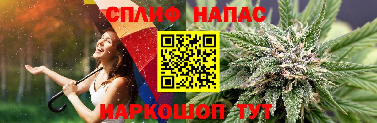 Бошки марихуана семена Невинномысск